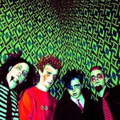 Screaming Monkey Boner - List pictures