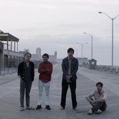 Grizzly Bear - List pictures