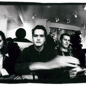 Scheer - List pictures