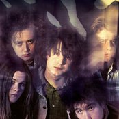 The Telescopes - List pictures