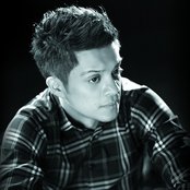 Bamboo - List pictures