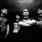 Coffins - List pictures