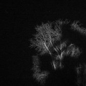 Sincerely, Dead - List pictures