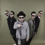 Blumentopf - List pictures