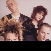 Information Society - List pictures