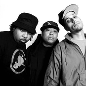 Dilated Peoples - List pictures