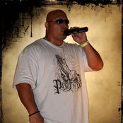 Mastino - List pictures