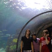 This Providence - List pictures