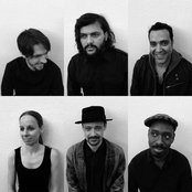 Melt Yourself Down - List pictures