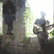 Ducktails - List pictures