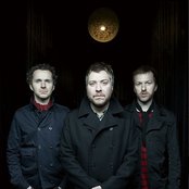 Doves - List pictures