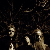 Frost - List pictures