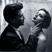 David Lynch - List pictures