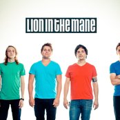 Lion In The Mane - List pictures