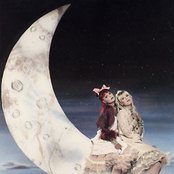 Voice Of The Beehive - List pictures