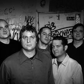 Seaweed - List pictures