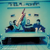 Nephew - List pictures