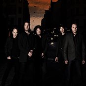 Weeping Willows - List pictures