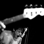 Japanther - List pictures