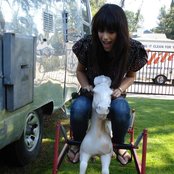 Brooke Fraser - List pictures