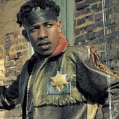 Wayne Marshall - List pictures