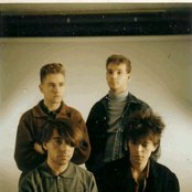 Echo & The Bunnymen - List pictures