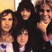 White Lion - List pictures