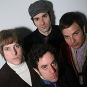 The Black Hollies - List pictures