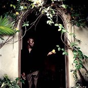Seal - List pictures