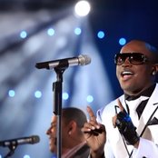 Exaltasamba - List pictures