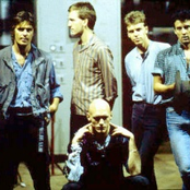 Midnight Oil - List pictures