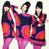 Perfume - List pictures