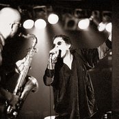 Legendary Pink Dots - List pictures