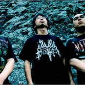 Coffins - List pictures