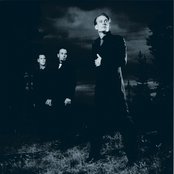 Covenant - List pictures