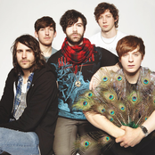 Foals - List pictures