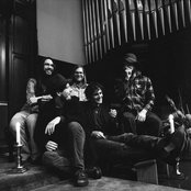 Vetiver - List pictures