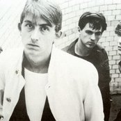 Talk Talk - List pictures