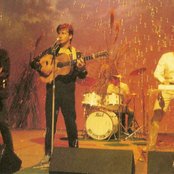 Mental As Anything - List pictures