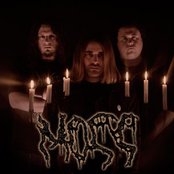 Moss - List pictures