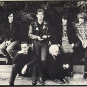 The Pastels - List pictures