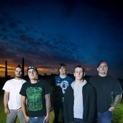 50 Lions - List pictures