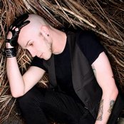 Aesthetic Perfection - List pictures