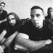 Puya - List pictures