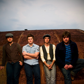 Seabird - List pictures