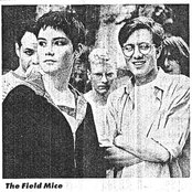 Field Mice - List pictures