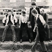 Flamin' Groovies - List pictures