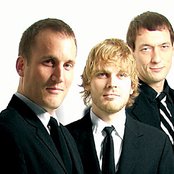 The Movement - List pictures