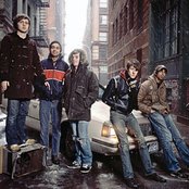 The Blood Brothers - List pictures