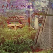 Vinyl Williams - List pictures